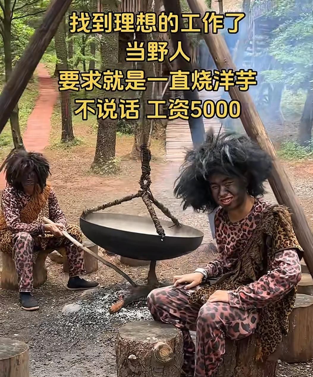 有博主发文：终于找到理想的工作了～当野人，要求一直不说话，工作就在野外烤洋芋，工