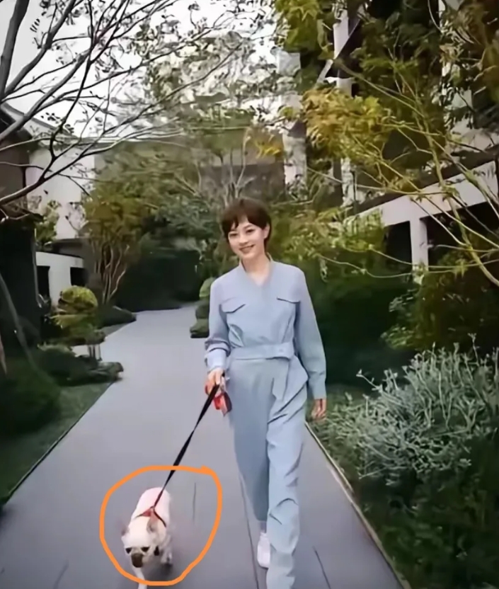 我现在开始有点懂邓超了，
孙俪哪里都好，
但是有一点是要不得的，那就是孙俪太自律