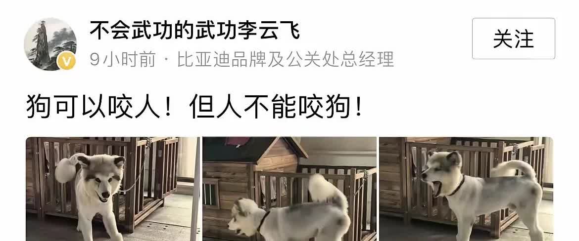 合适，太合适了！
比亚迪如果不回怼，迪黑就会说，比亚迪都不敢回应，说明默认了！
