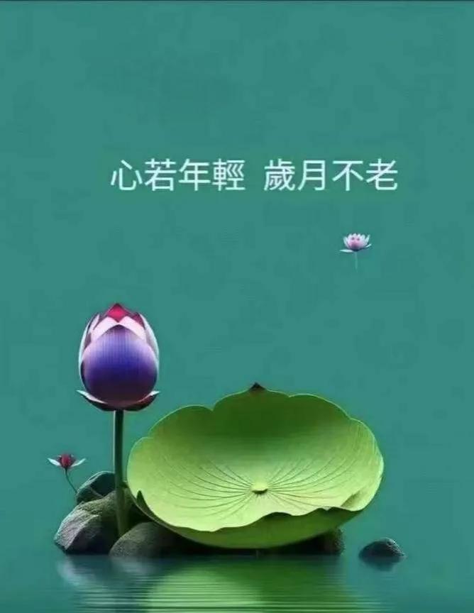 《方圆悟》
世态炎凉，人情冷暖，皆于方寸间藏。
思那处世良方，过正则伤，太滑亦将