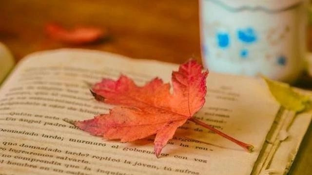 人老了才看透：命里有时终须有，命里无时莫强求