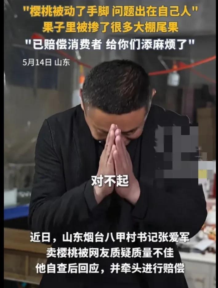 烟台网红村书记直播卖樱桃被指翻车质量差，出面道歉回应称，经过几天的排查发现樱桃被