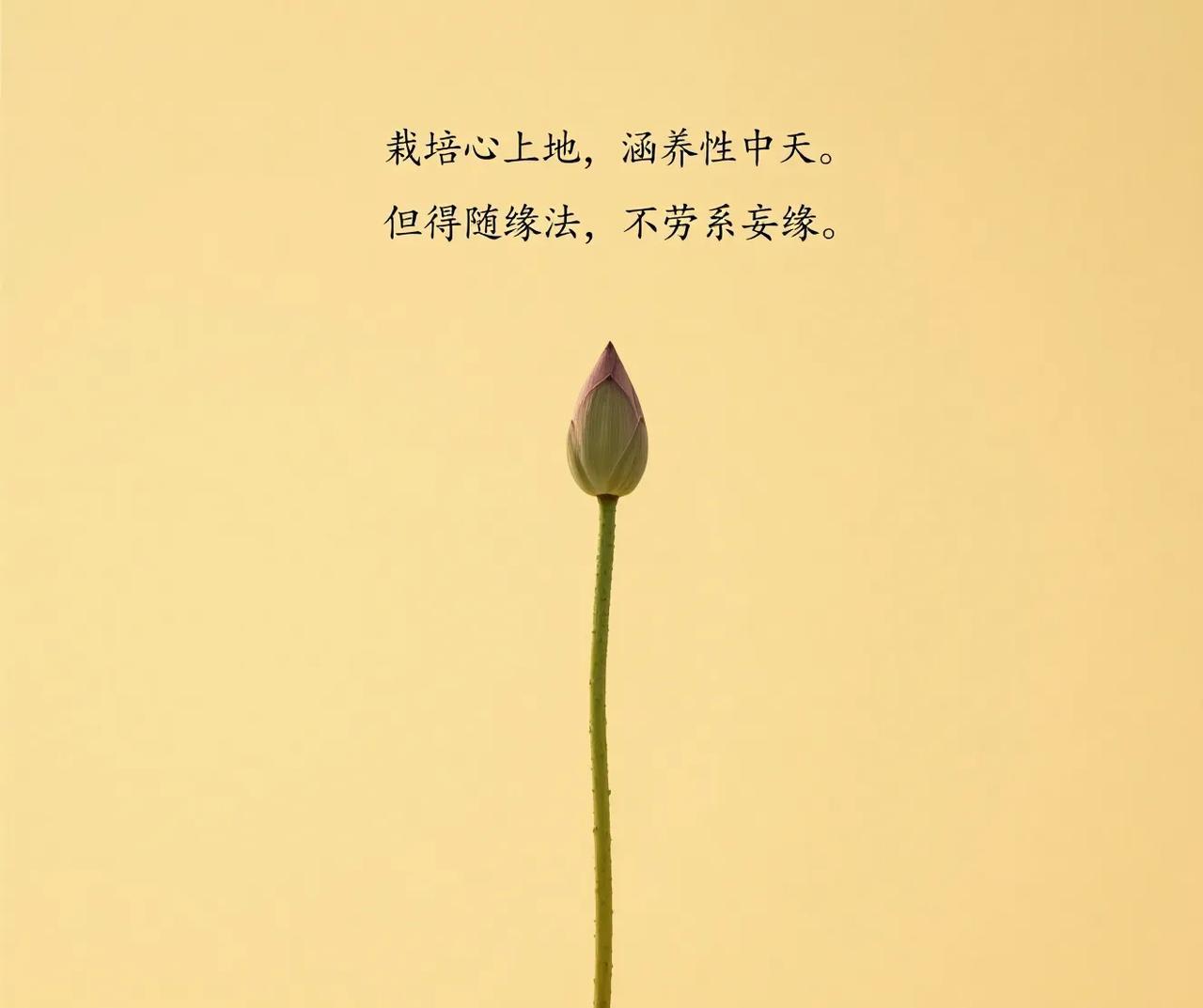 人生逆旅，百代过客；万物刍狗，何者为珍？  
金堆北斗，难铸逝川；厦拥千间，不过