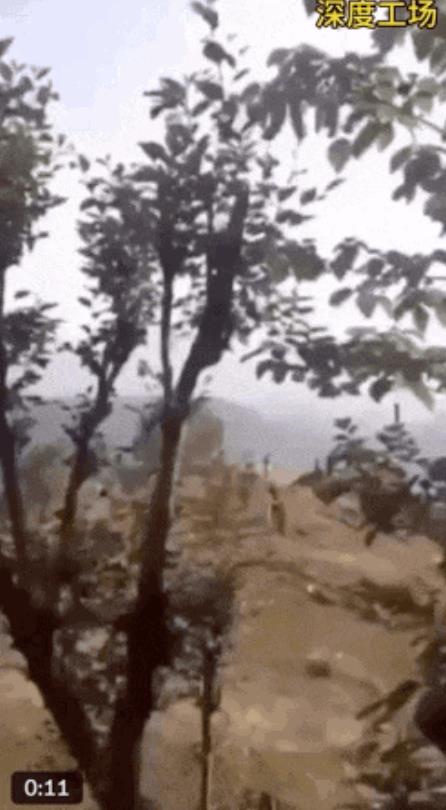推特X上传说，巴基斯坦民兵正在追捕，逃跑的印度女飞行员。据称1架印度阵风战机在今