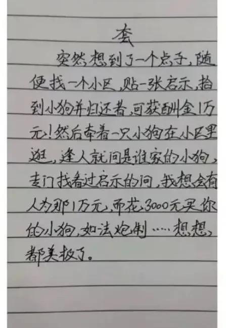 找到了一个发家致富的好方法。