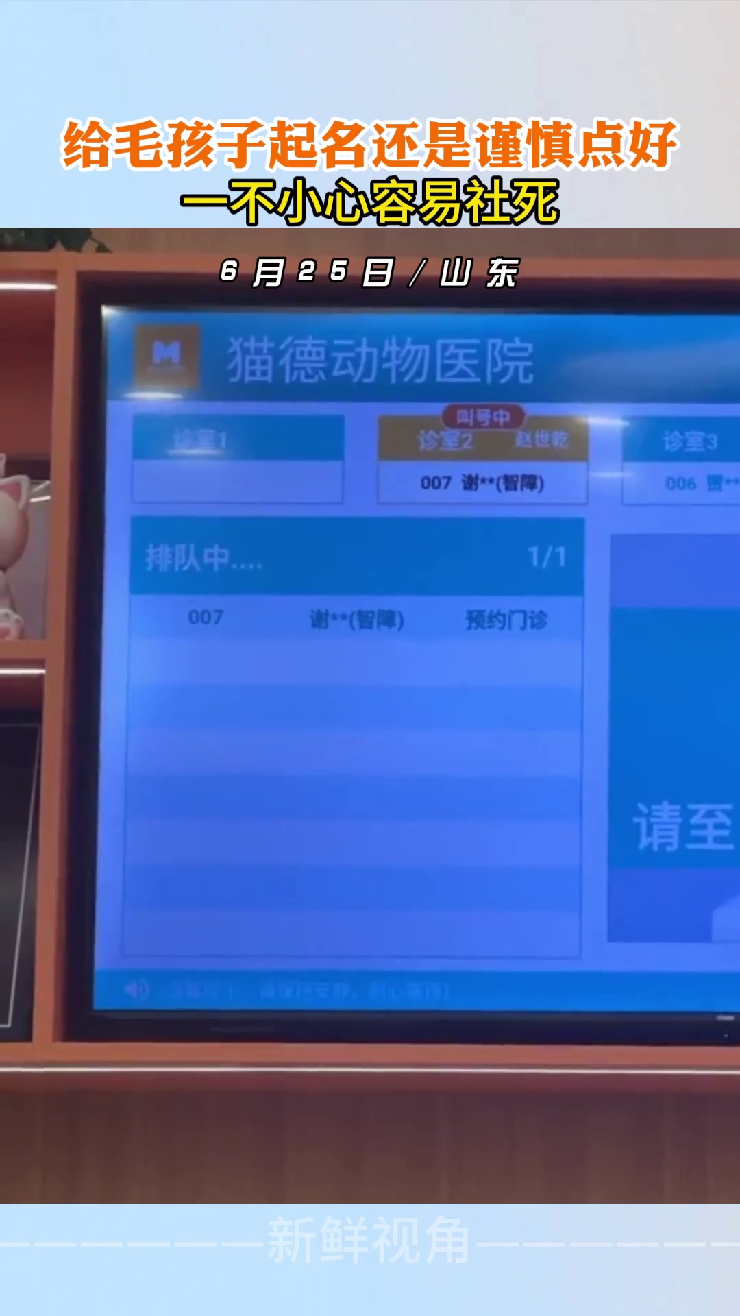 给毛孩子起名还是谨慎点好 一不小心容易社死