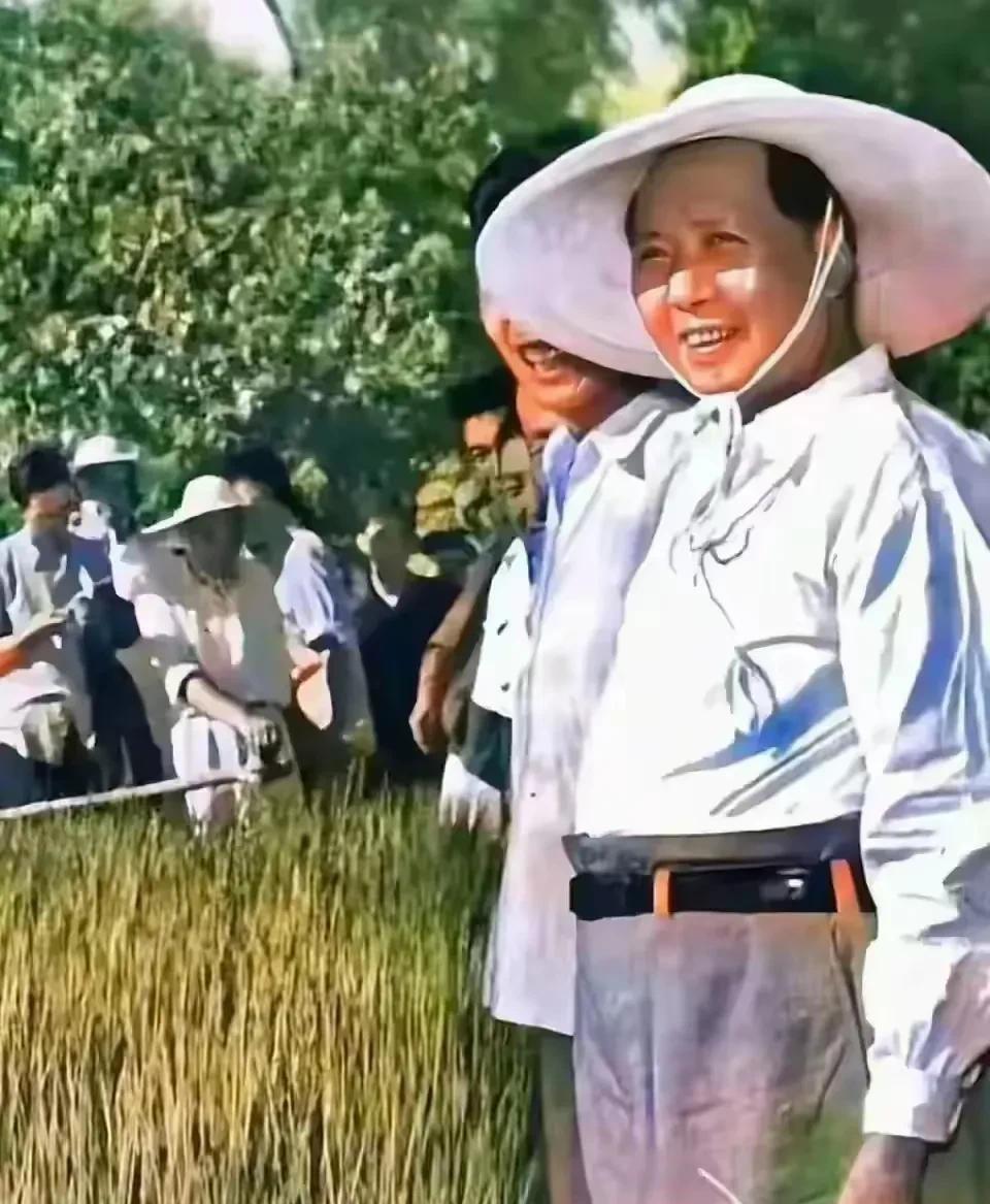在一个秋高气爽的日子，毛主席来到乡村视察。烈日高悬，他头戴草帽，身着朴素衣衫，行