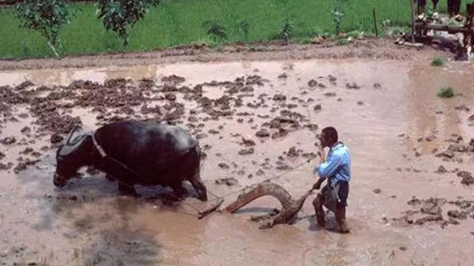 94年母亲住院，去四姑家借500元，四姑只给40，姑父在半路拦住我