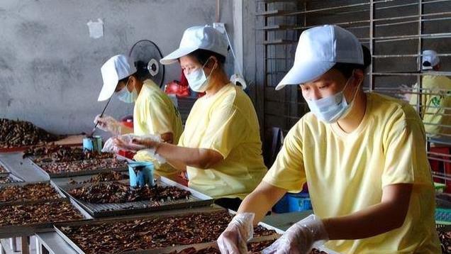 广电总局出手！槟榔广告全面禁播，黑色恶魔果槟榔没落已经开始