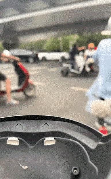 两个人还是懂法律的