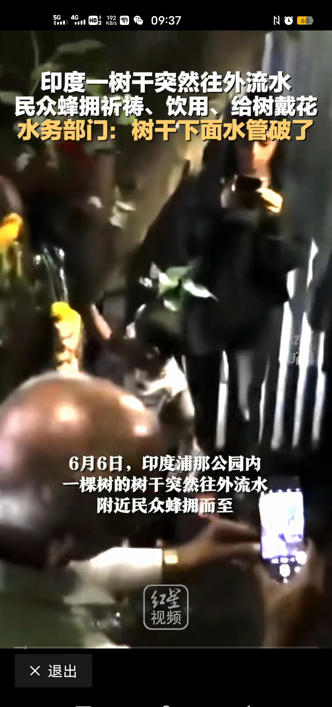 印度这棵“神树”竟然会流泪？











---









