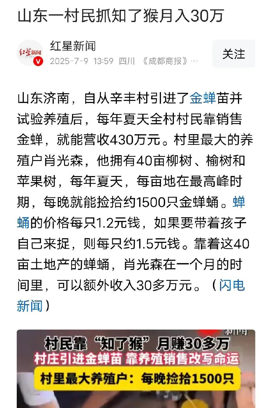 大酒店摆摊一天9万，
山东村民抓知了猴月入30万，
清华纹眉师月入4万，
瓦工年