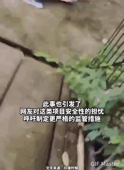 都说了老虎屁股摸不得，三哥硬是不信邪！
近日，一名印度游客在泰国普吉岛旅游时因触