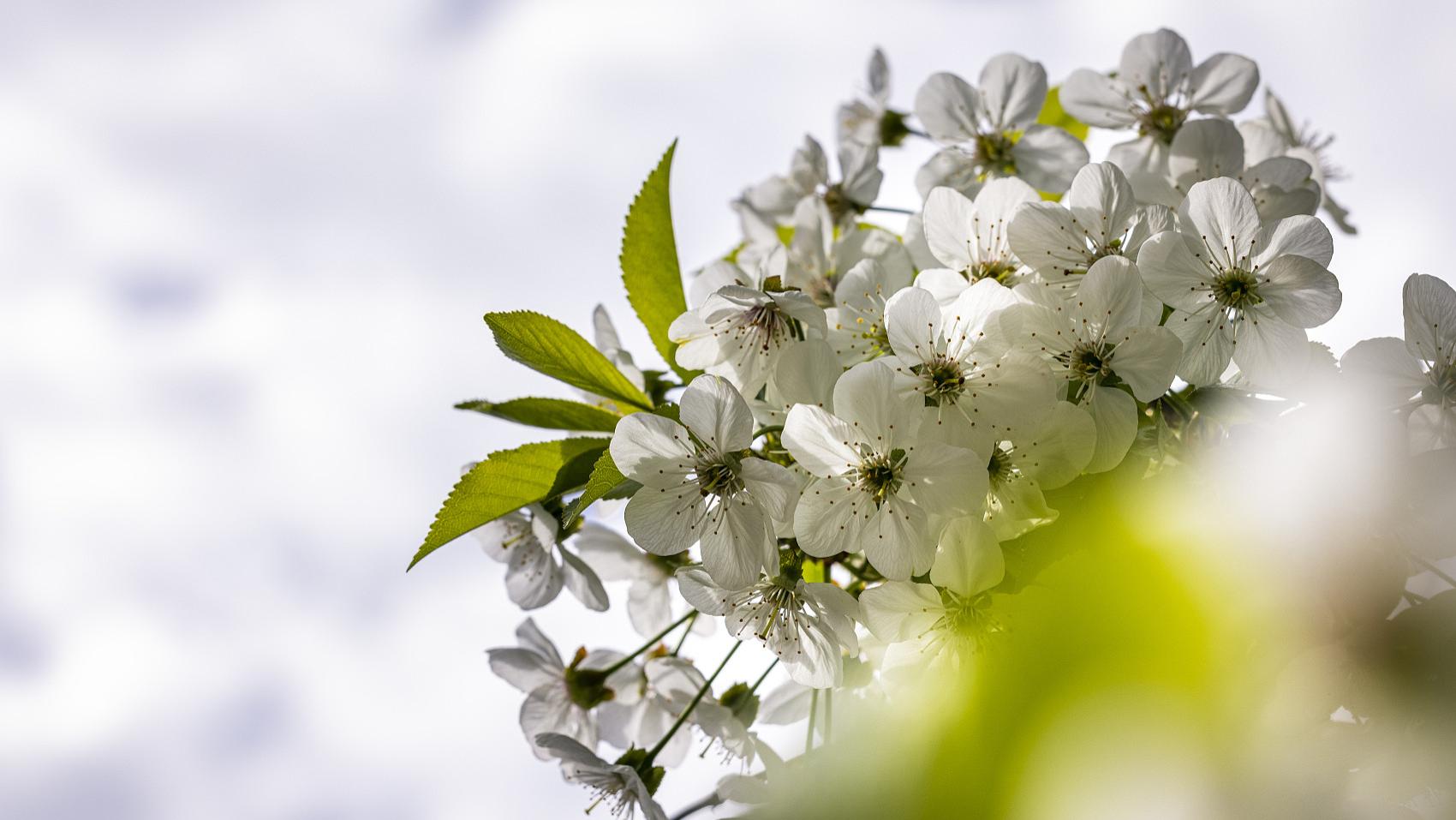汪缘堂：形气与阴阳的关系，形气与五行的关系