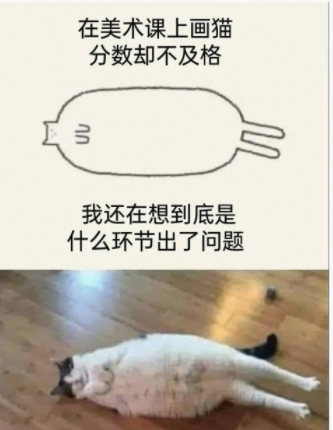 在美术课上画猫分数却不及格