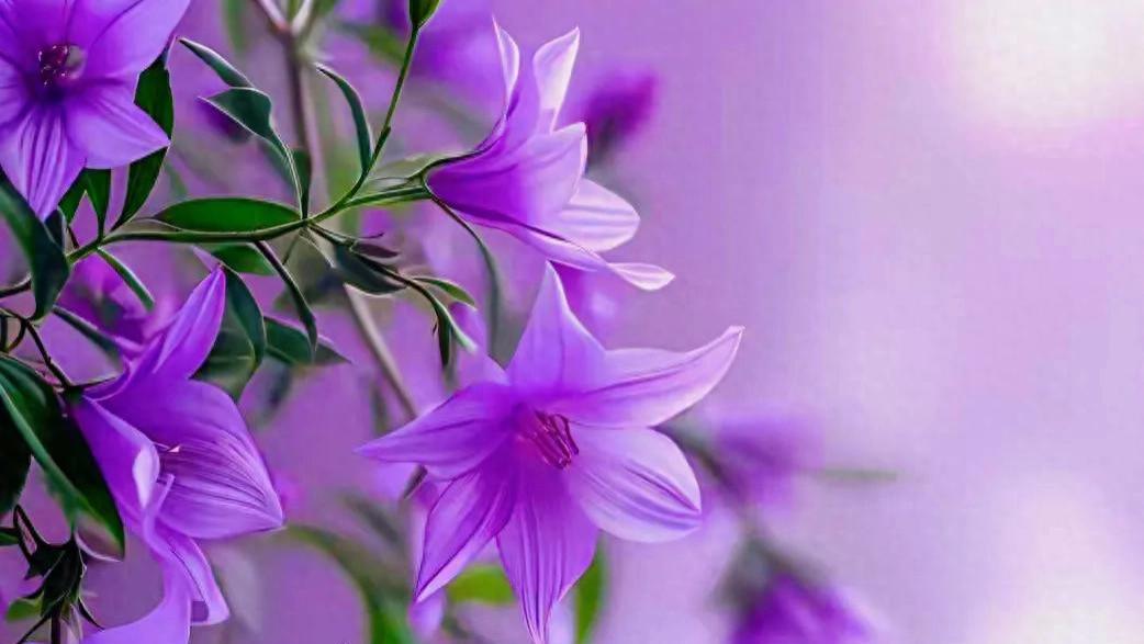 打破僵局，开辟新局，掌控全局，终成胜局