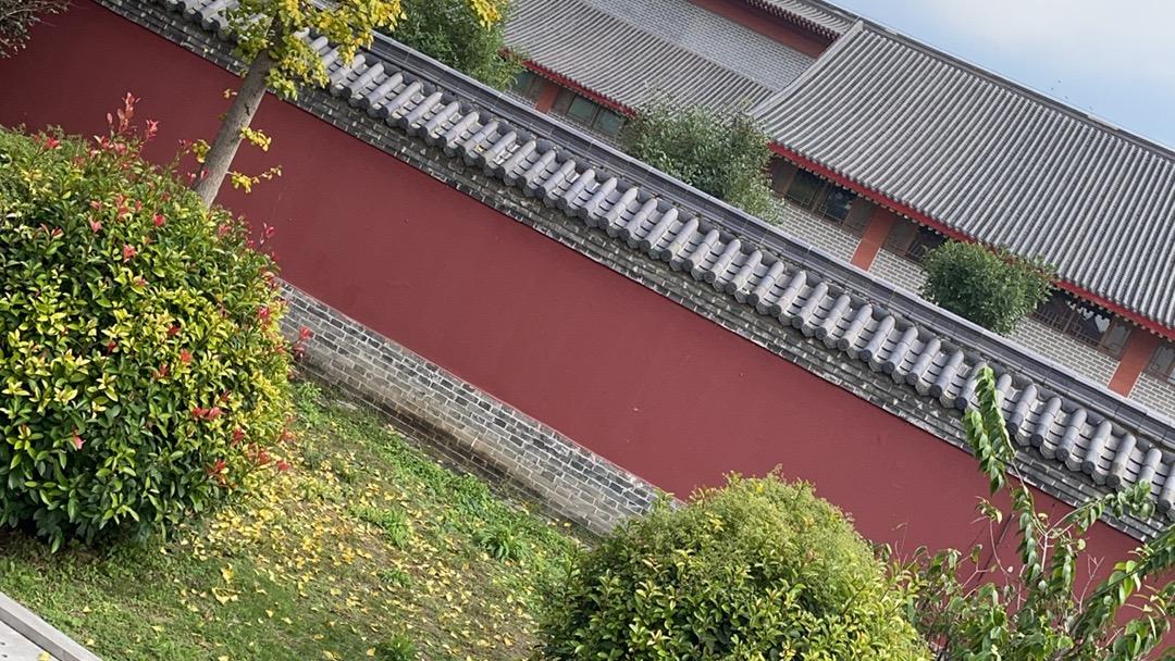 伍句人生歪理，歪的太有道理