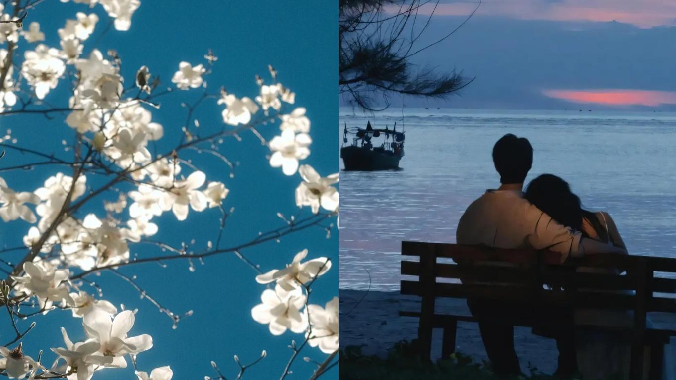 孩子确诊自闭症后，我不敢离婚