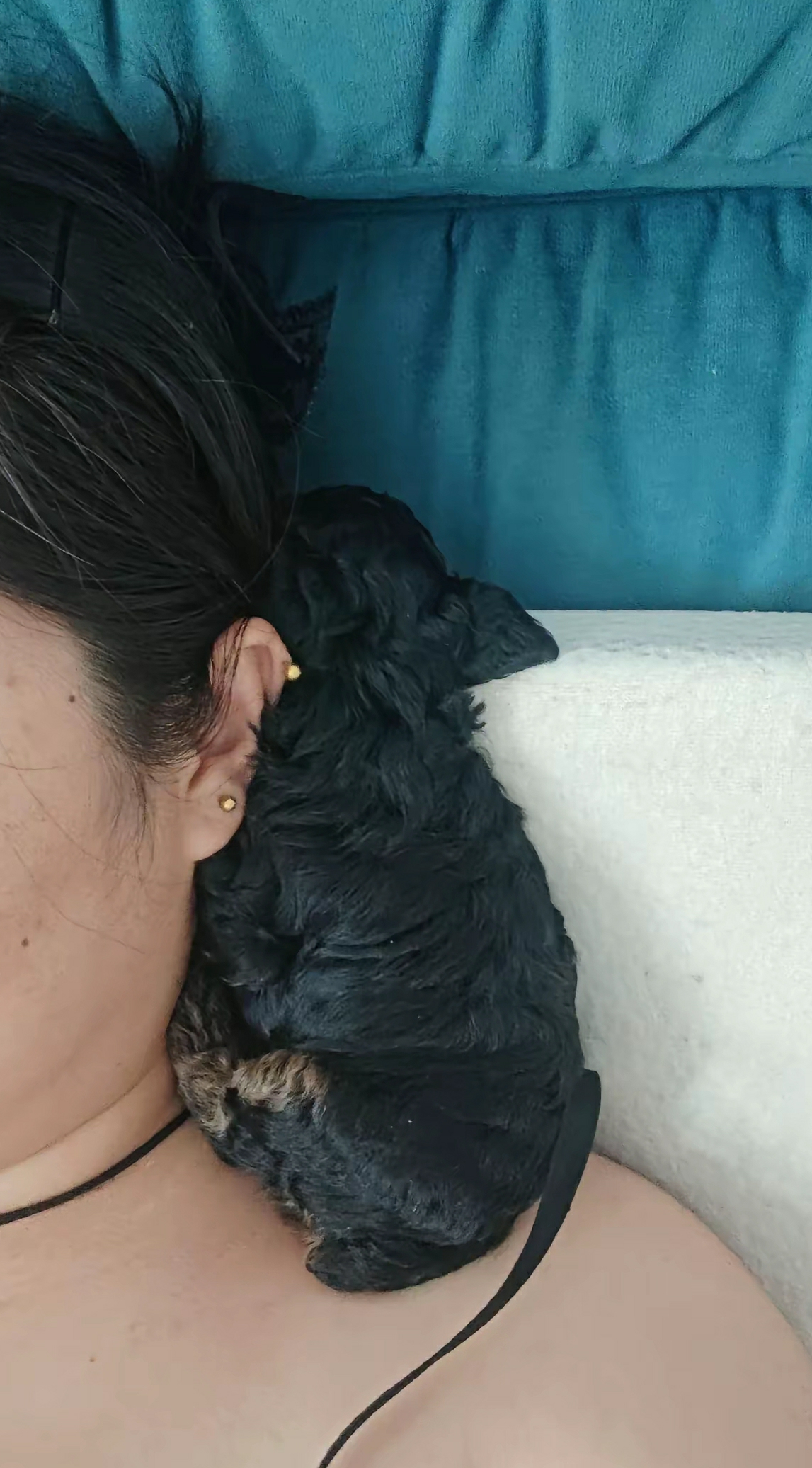 就爱这样立着睡觉