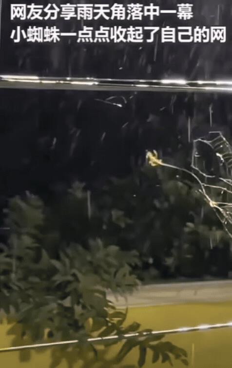 “解释不清了！”由于突降大雨，女子赶紧去关窗，不料却发现窗户边有东西在动，仔细一