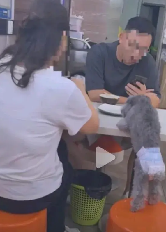 我就想说，狗不懂事，难道人也不懂事吗？让狗狗舔着餐盘，这让以后用餐的人怎么想，毕