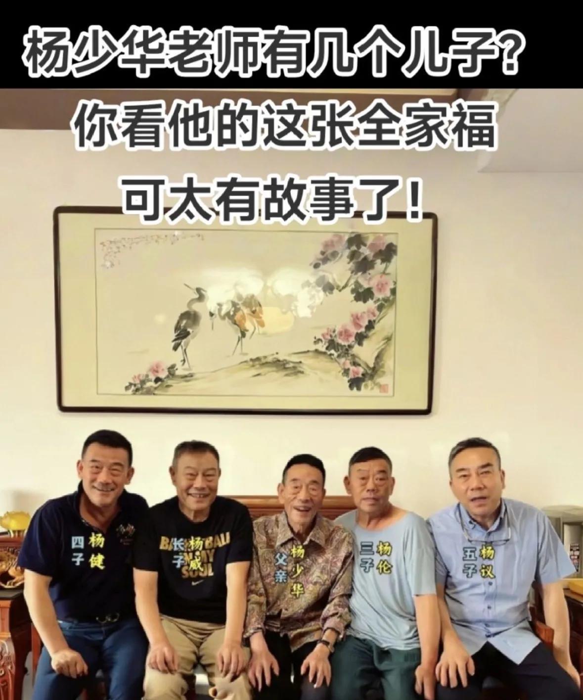 杨少华遗产“四个亿”，四个儿子一人一亿。
杨少华去世后，他的几个儿子陷入了巨大的