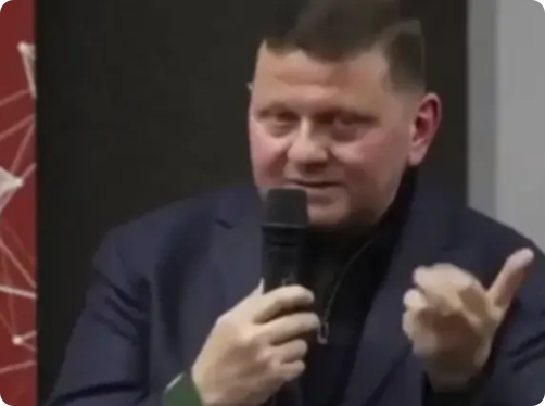 西方纸老虎的现象一步步被乌克兰给捅出来了。
近日前乌军总司令扎总面对媒体时说道：