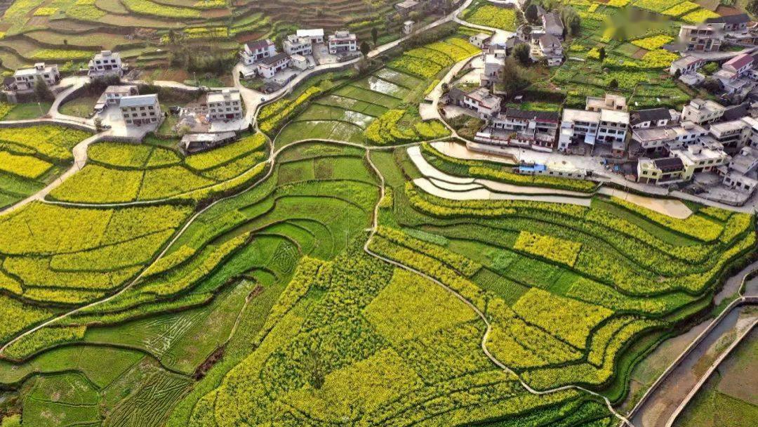 清明：踏青寻春的思念之旅