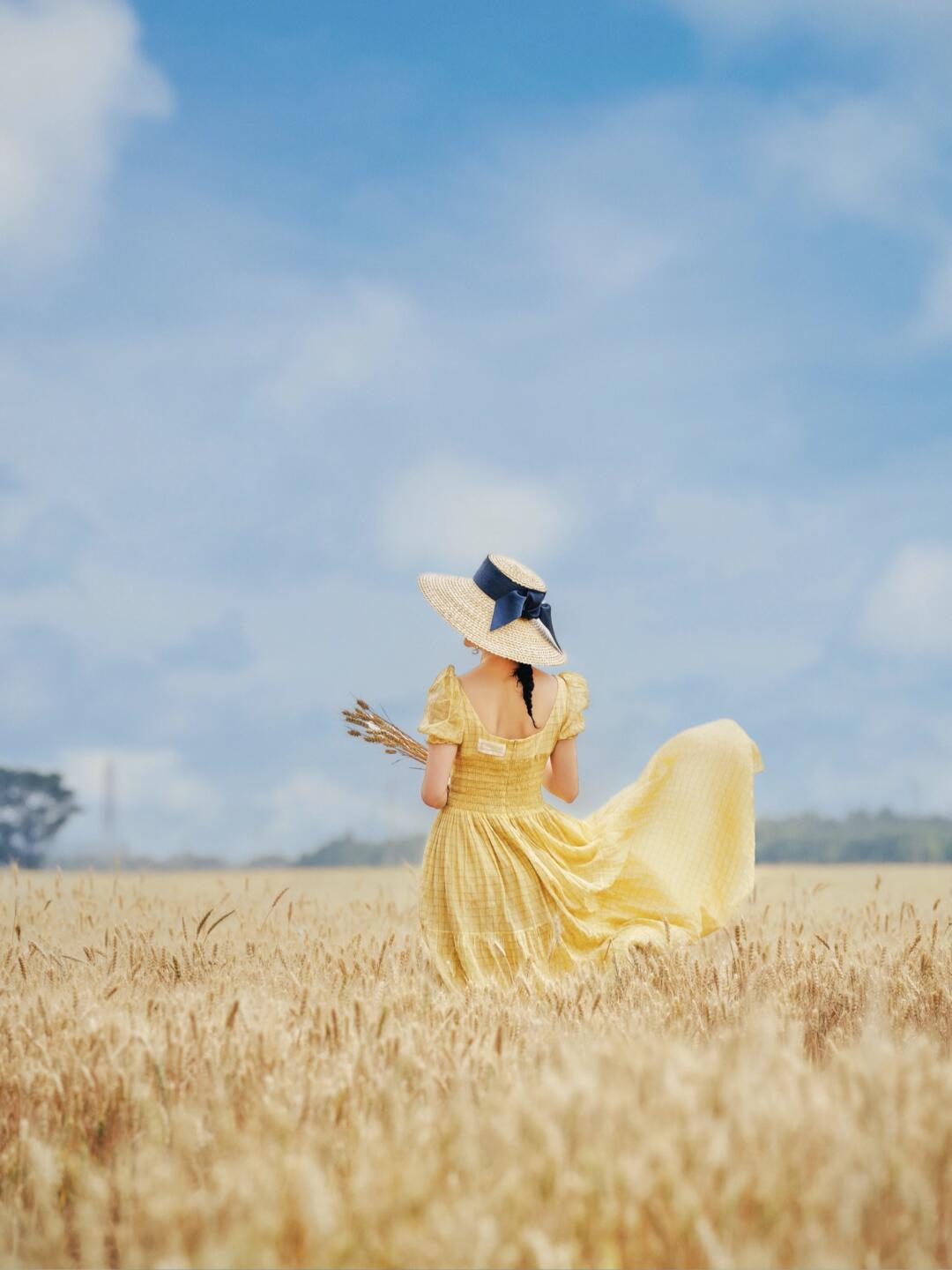 心有半亩麦田🌾藏于世俗人间