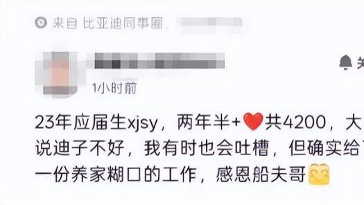 比亚迪员工集体涨工资，王传福太豪气了