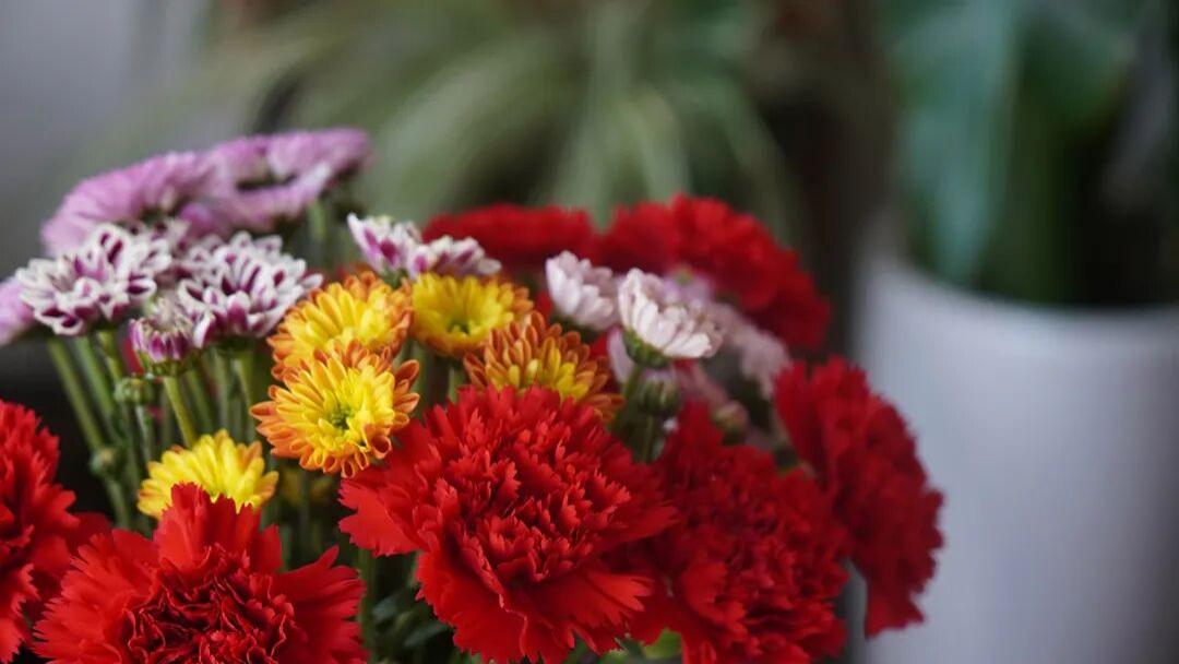 教材出版前言怎么写？一篇讲透写作思路与规范