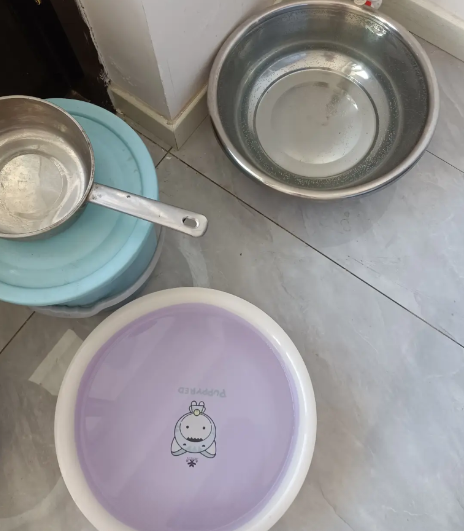 今日凌晨，狂风突袭河北沧州，呼啸声如万马奔腾，震得门窗哐当作响。我蜷缩在被窝里数