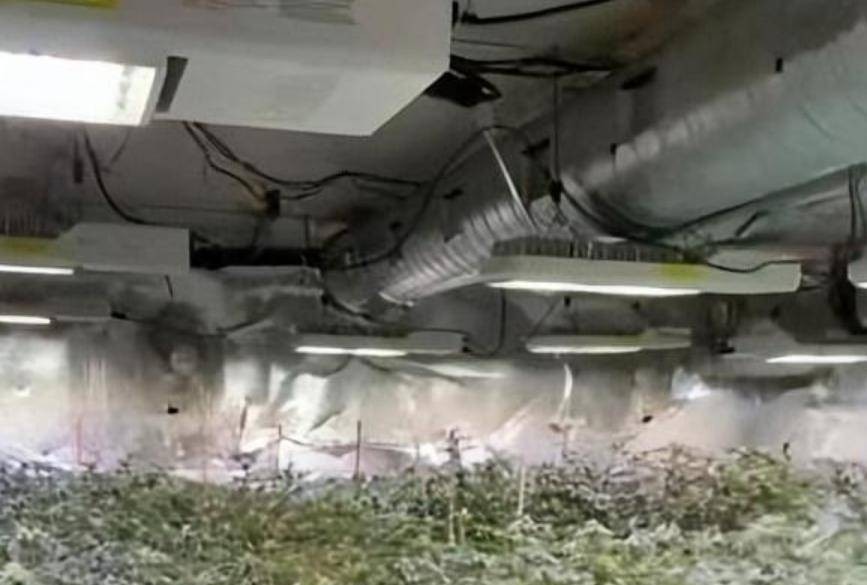 在开始阅读本文之前，请先点击页面右上方的“关注”按钮。这样不仅方便您与我分享和讨