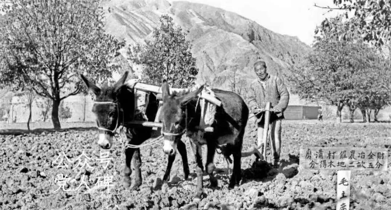 地主阶级的还乡团真甘心失败吗？
1964年11月17日，“死”在外地15年的张和