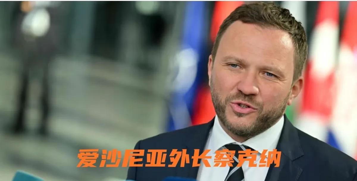 爱沙尼亚驱逐俄驻塔林大使馆一等秘书普里列平
#洲哥讲时事# 2025年8月13日