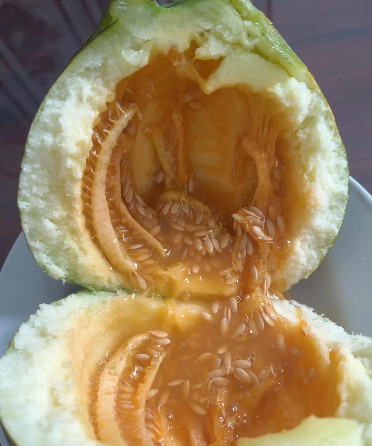 老面瓜，是一种老品种水果，现在已经不多见了，最起码在赵县已经绝迹了。今天早晨赶南