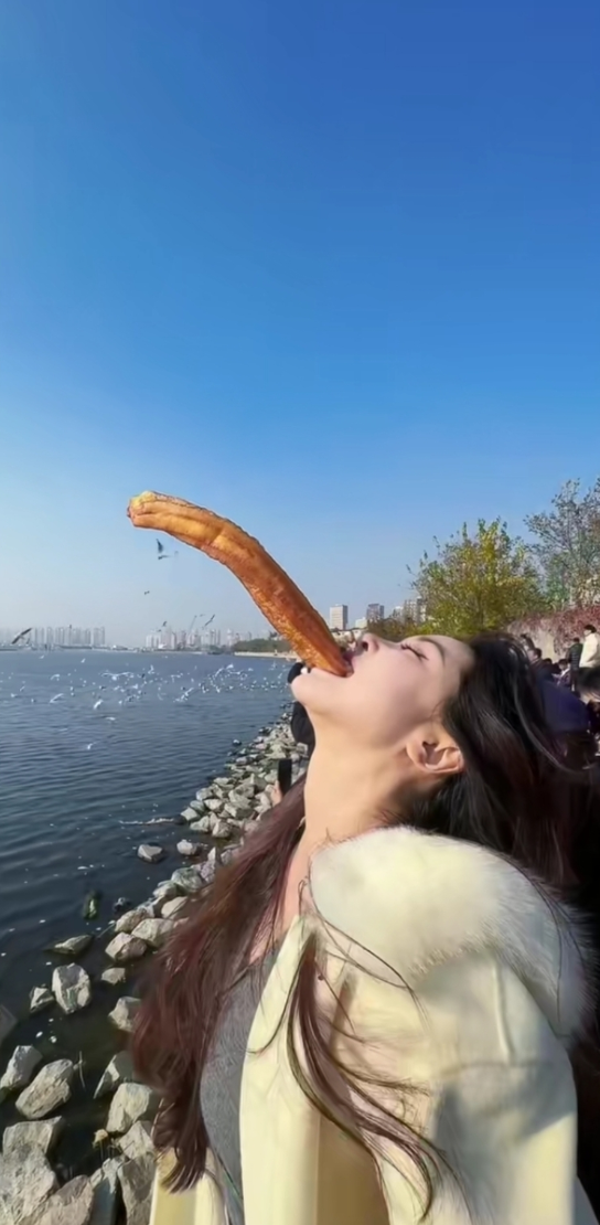 人生的意义是什么？海鸥：去码头上整点果子吃