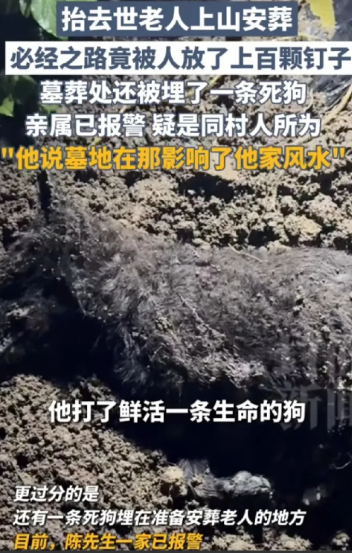 重庆一老人去世，家人准备将遗体安葬在自家地里，谁料，安葬必经路上，被人放了100