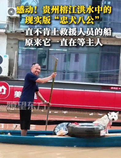太感动了！贵州榕江，救援人员发现一只小狗被拴住，孤立无援站在洪水中。他们试图靠近