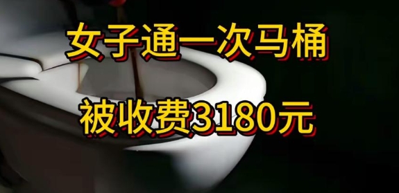 离谱！女子疏通一次马桶被收费3179.7元？！这得堵成啥样呀！

原以为疏通个马