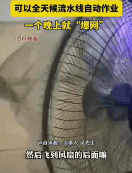 大哥肯定农村长大！5月22日，福建厦门，一男子被蚊子叮得受不了，绝望之际，他突然