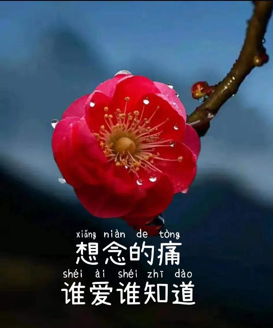 人到中年
遇上一个钟情之人
却难做成夫妻
内心挣扎不已
早知相遇绊人心
何不当初