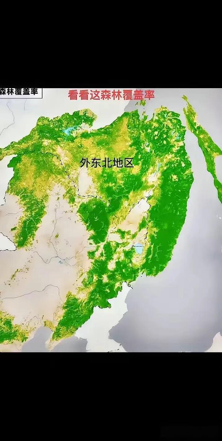 外东北与我国东北地区的森林覆盖率对比，可以看到明显差异。这对我们来说也是一个好事