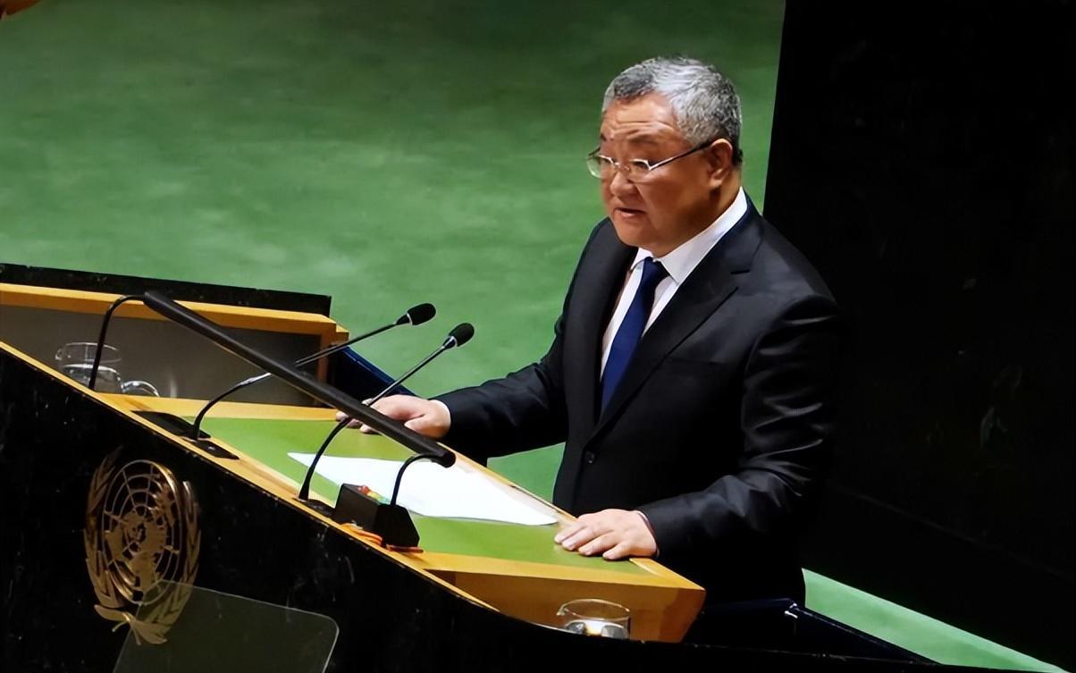 万万没想到
美国突然宣布了！
美国一票否决让14国全白玩惹众怒，中国当着全世界喊