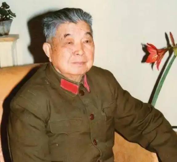 1953年，西康军区司令员刘忠，听说母亲尚在人世，当即带着妻子回家探亲，可到家后