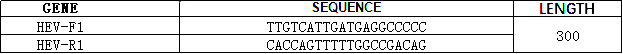 PCR 电泳鉴定实验技术介绍