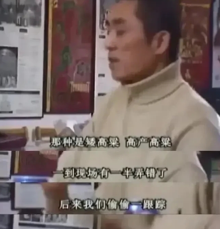 当年，张艺谋筹拍电影《红高粱》，他在山东高密租地、雇村民种高粱。可当张艺谋再次来