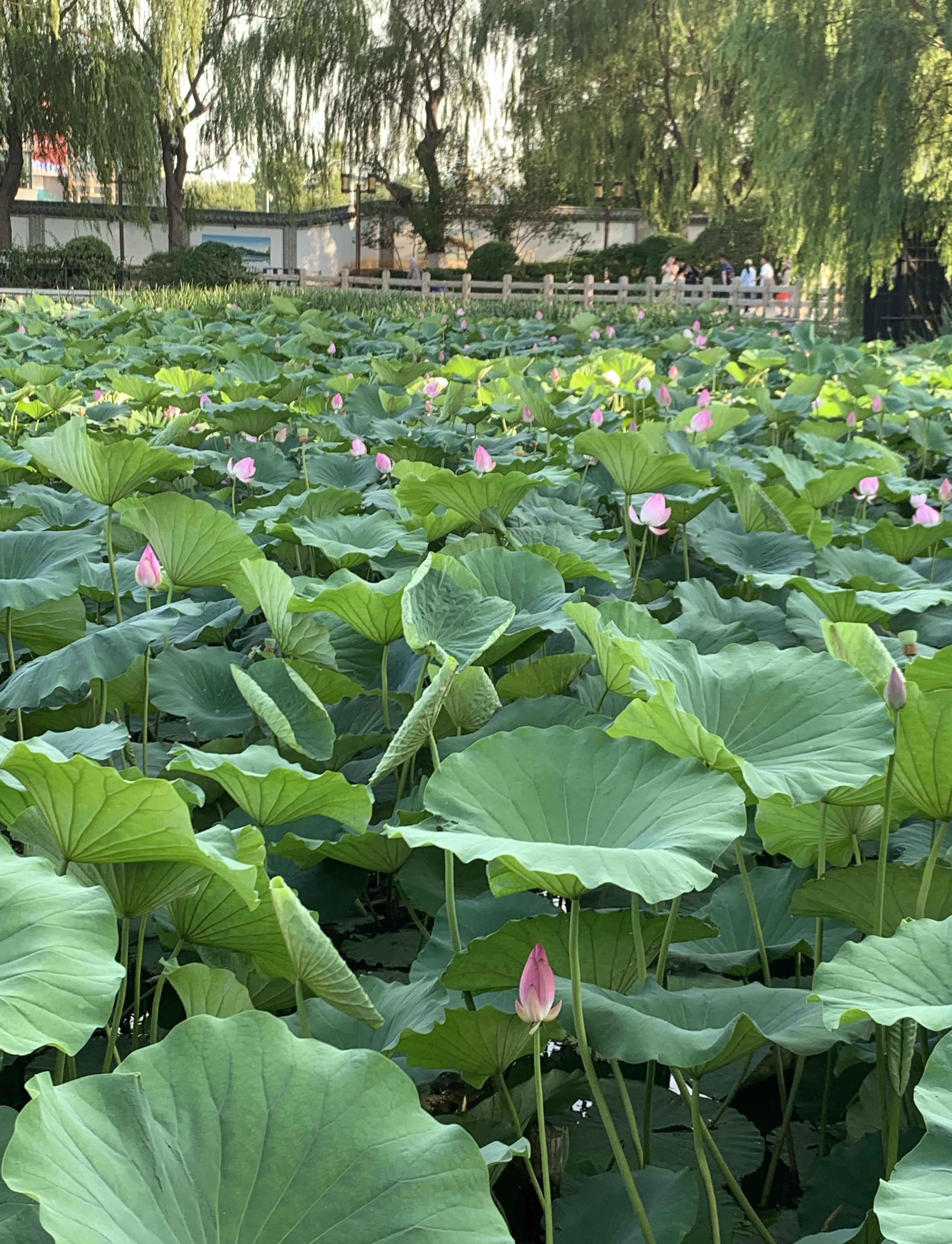 我的天！世界要变天了吗？











美国要是真揍了伊朗，那可就麻烦大
