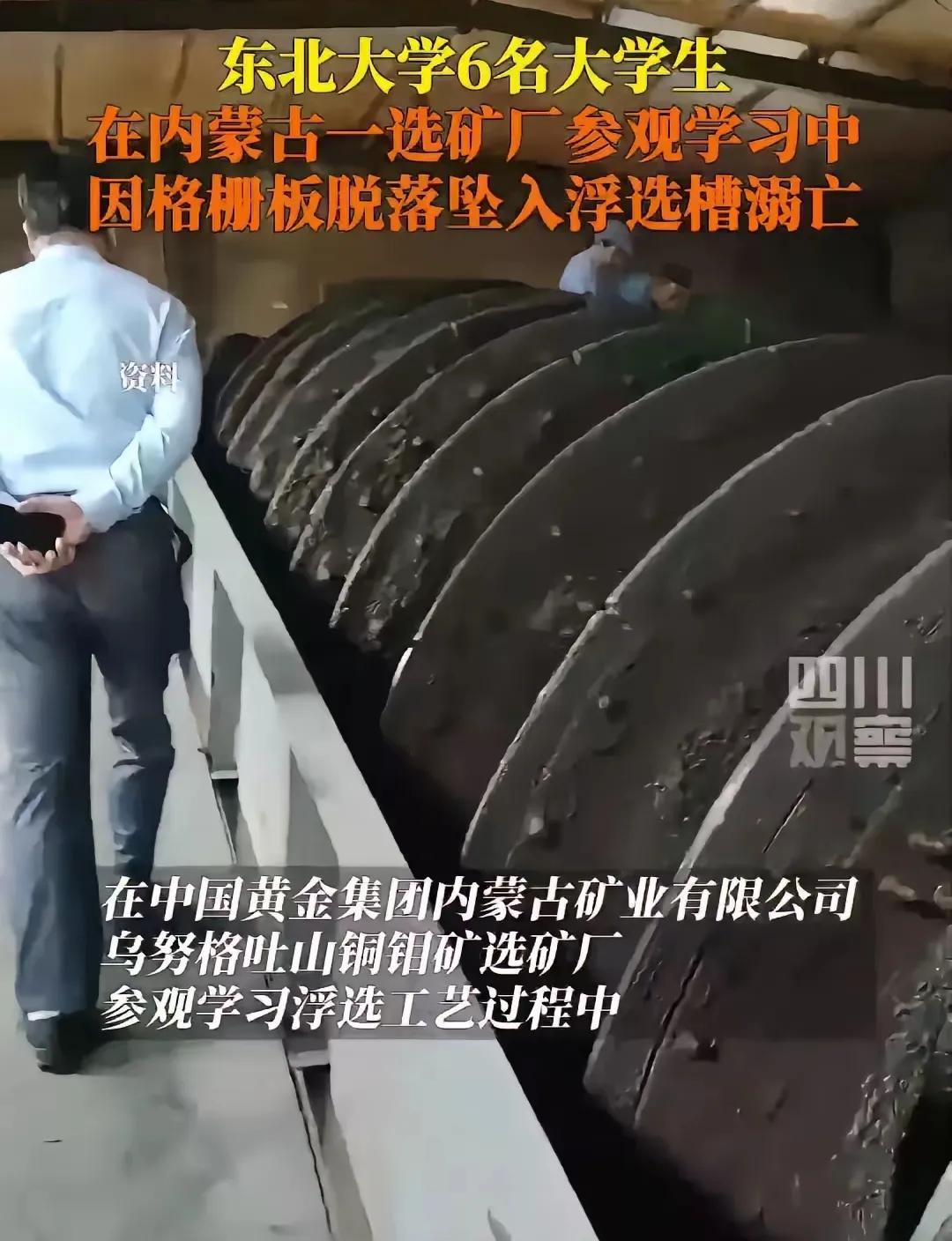 大家千万别点开浮选槽的图片看！看完真能让人心里疼得喘不过气。
听同学说，活下来的