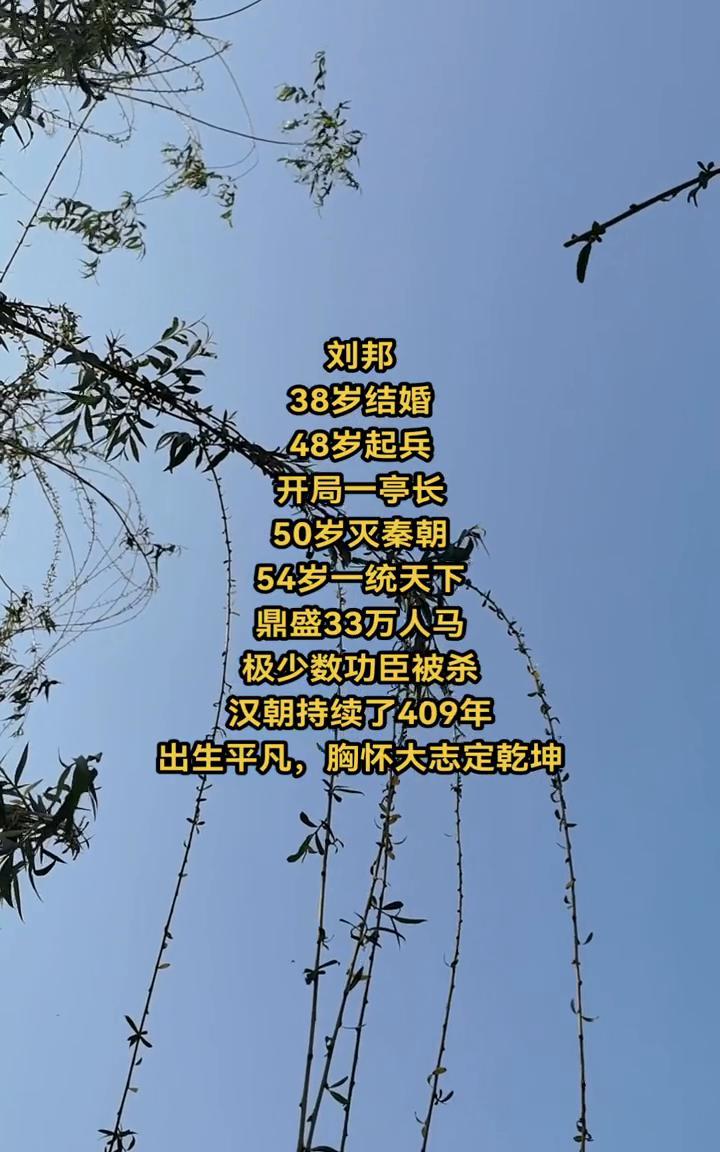 刘邦38岁结婚，48岁起兵，开局一亭长，50岁灭秦朝，54岁一统天下，鼎盛33万